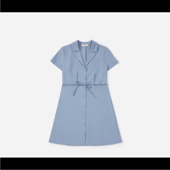 Everlane | Japanese GoWeave Notch Shirtdress - Picture 2 of 4